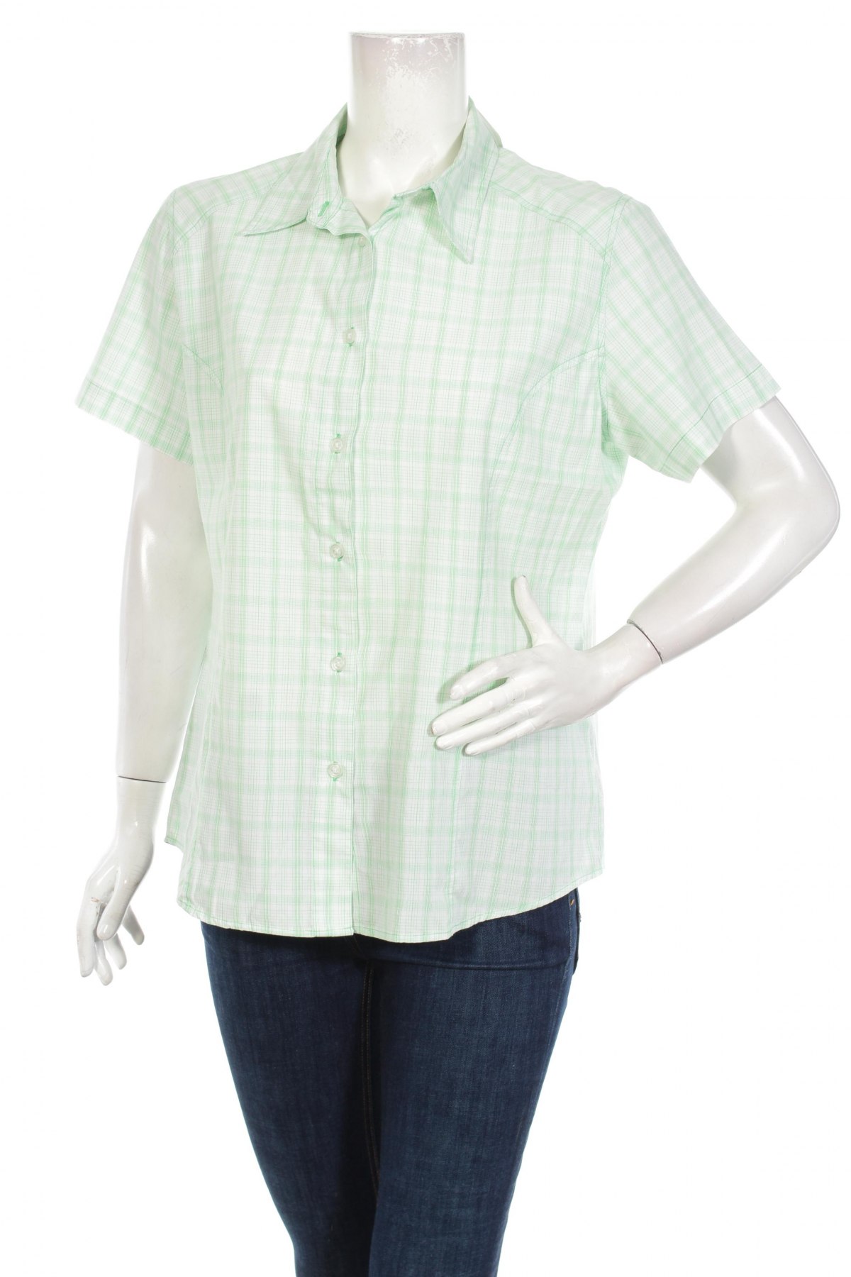 Γυναικείο πουκάμισο Crane, Μέγεθος XL, Χρώμα Πράσινο, Τιμή 11,13 €