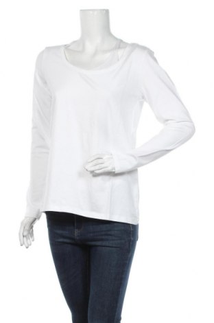 Γυναικεία μπλούζα, Μέγεθος XXL, Χρώμα Λευκό, 95% βαμβάκι, 5% ελαστάνη, Τιμή 11,91 €
