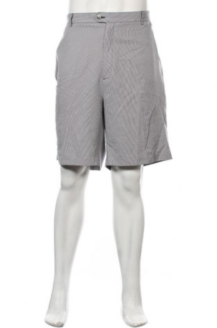 Ανδρικό κοντό παντελόνι, Μέγεθος XL, Χρώμα Μπλέ, Πολυεστέρας, Τιμή 5,98 €