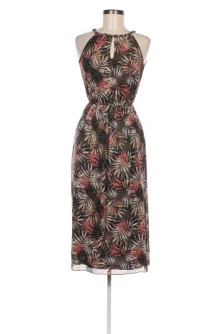 Φόρεμα Apricot, Μέγεθος XS, Χρώμα Πολύχρωμο, Τιμή 29,69 €
