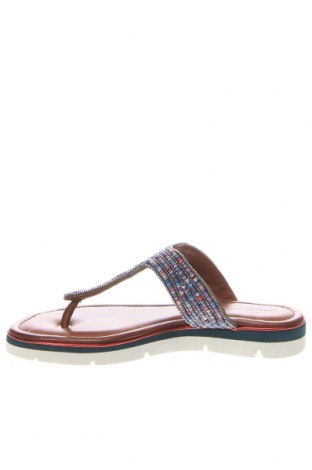 Papuci Salamander, Mărime 37, Culoare Multicolor, Preț 311,18 Lei