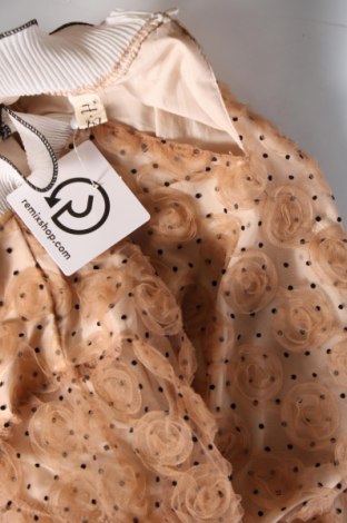 Γυναικεία μπλούζα, Μέγεθος S, Χρώμα  Μπέζ, Τιμή 16,98 €