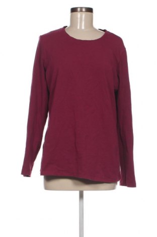 Γυναικεία μπλούζα, Μέγεθος XL, Χρώμα Βιολετί, Τιμή 5,10 €