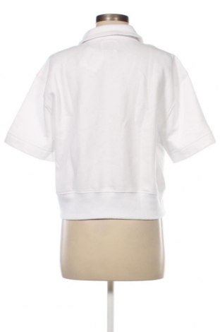 Γυναικεία μπλούζα Abercrombie & Fitch, Μέγεθος L, Χρώμα Λευκό, Τιμή 27,84 €