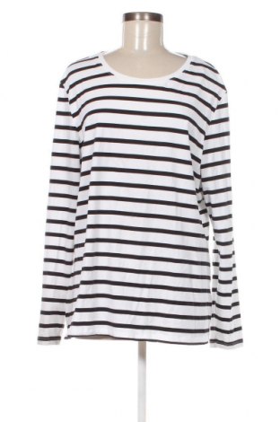 Damen Shirt Amazon Essentials, Größe XXL, Farbe Mehrfarbig, Preis € 15,98