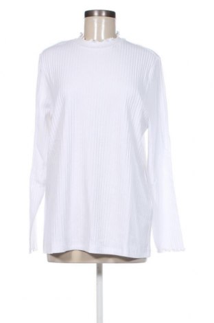 Γυναικεία μπλούζα Anna Field, Μέγεθος 3XL, Χρώμα Λευκό, Τιμή 12,78 €