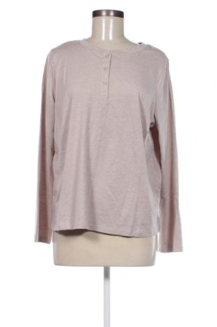 Γυναικεία μπλούζα Anna Field, Μέγεθος XL, Χρώμα  Μπέζ, Τιμή 7,35 €