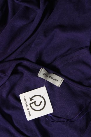 Γυναικεία μπλούζα Bassini, Μέγεθος XXL, Χρώμα Βιολετί, Τιμή 11,16 €