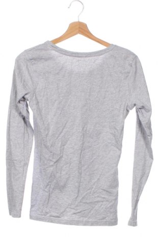 Γυναικεία μπλούζα Berydale, Μέγεθος XS, Χρώμα Γκρί, Τιμή 3,40 €