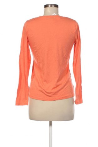 Γυναικεία μπλούζα Bpc Bonprix Collection, Μέγεθος S, Χρώμα Πορτοκαλί, Τιμή 11,75 €