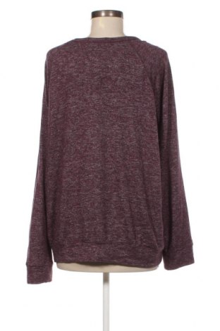 Damen Shirt Buffalo by David Bitton, Größe L, Farbe Rosa, Preis € 4,73