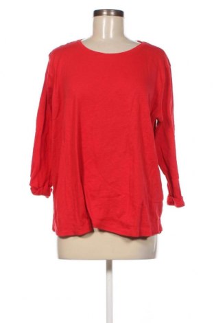 Damen Shirt Cecil, Größe L, Farbe Rot, Preis 5,99 €