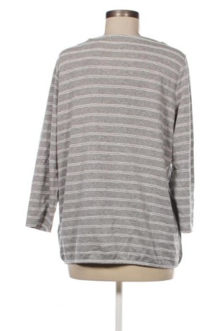 Damen Shirt Cecil, Größe L, Farbe Grau, Preis 23,66 €