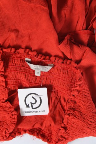 Damen Shirt Clockhouse, Größe XS, Farbe Rot, Preis € 3,89