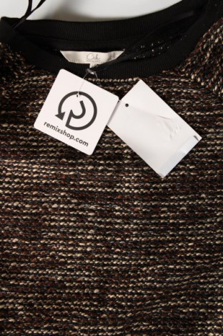 Damen Shirt Clockhouse, Größe M, Farbe Mehrfarbig, Preis € 7,13