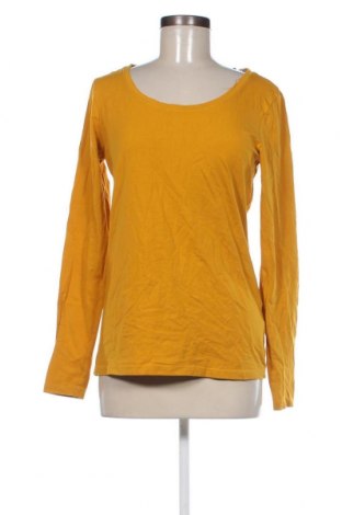 Γυναικεία μπλούζα Colours Of The World, Μέγεθος M, Χρώμα Πορτοκαλί, Τιμή 2,35 €