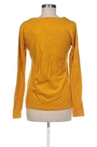 Γυναικεία μπλούζα Colours Of The World, Μέγεθος M, Χρώμα Πορτοκαλί, Τιμή 2,35 €