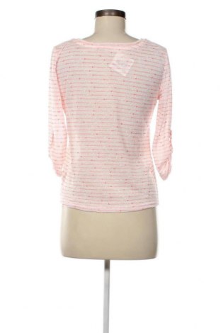 Γυναικεία μπλούζα Colours Of The World, Μέγεθος S, Χρώμα Ρόζ , Τιμή 3,53 €