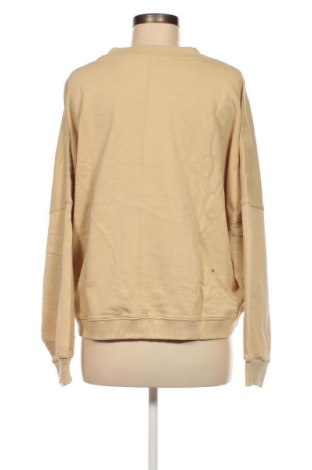 Γυναικεία μπλούζα Cotton On, Μέγεθος XL, Χρώμα  Μπέζ, Τιμή 5,91 €