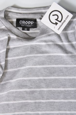 Γυναικεία μπλούζα Cropp, Μέγεθος XS, Χρώμα Γκρί, Τιμή 12,26 €