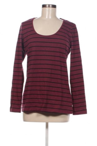 Damen Shirt Esmara, Größe XL, Farbe Lila, Preis 7,93 €