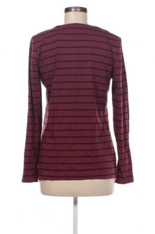 Γυναικεία μπλούζα Esmara, Μέγεθος XL, Χρώμα Βιολετί, Τιμή 4,11 €