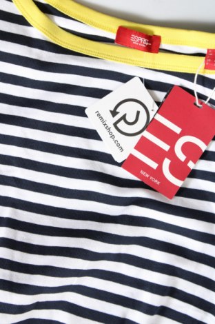 Γυναικεία μπλούζα Esprit, Μέγεθος XXL, Χρώμα Πολύχρωμο, Τιμή 23,81 €