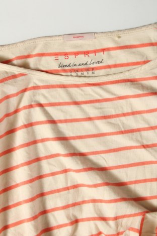 Γυναικεία μπλούζα Esprit, Μέγεθος S, Χρώμα Πολύχρωμο, Τιμή 4,21 €