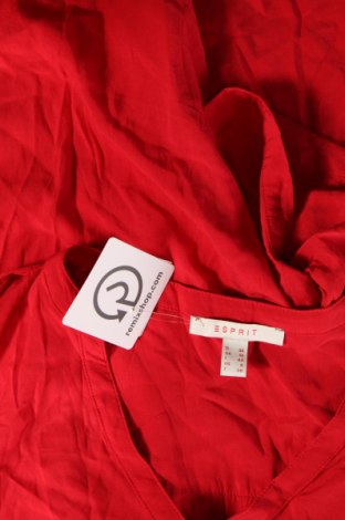 Damen Shirt Esprit, Größe S, Farbe Rot, Preis € 23,66