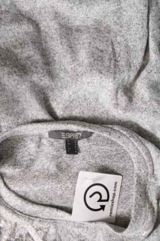 Damen Shirt Esprit, Größe S, Farbe Grau, Preis € 5,92