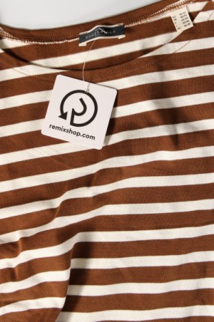 Damen Shirt Essentials by Tchibo, Größe M, Farbe Mehrfarbig, Preis 5,10 €