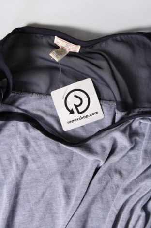 Γυναικεία μπλούζα Gap, Μέγεθος M, Χρώμα Μπλέ, Τιμή 10,23 €