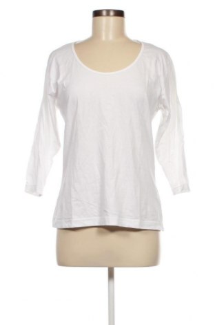 Damen Shirt Gina Benotti, Größe L, Farbe Weiß, Preis € 6,49