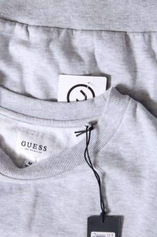 Damen Shirt Guess, Größe M, Farbe Grau, Preis 55,67 €