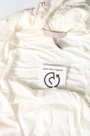 Γυναικεία μπλούζα H&M, Μέγεθος S, Χρώμα Εκρού, Τιμή 2,35 €