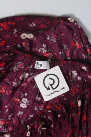 Damen Shirt Hollister, Größe XS, Farbe Lila, Preis 10,46 €