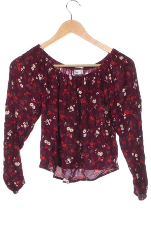 Damen Shirt Hollister, Größe XS, Farbe Lila, Preis € 10,64