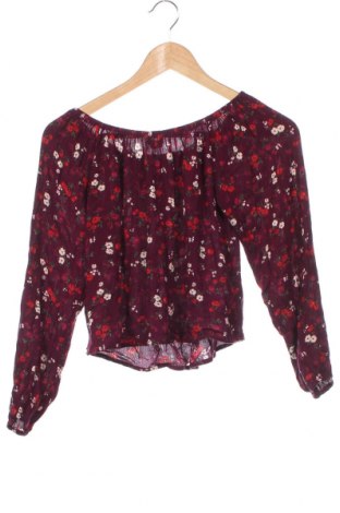 Γυναικεία μπλούζα Hollister, Μέγεθος XS, Χρώμα Βιολετί, Τιμή 10,99 €