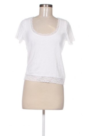 Damen Shirt Hollister, Größe L, Farbe Weiß, Preis 19,85 €