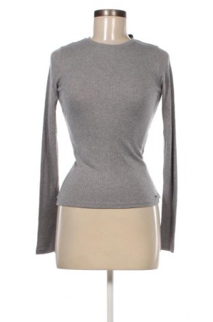 Damen Shirt Hollister, Größe S, Farbe Grau, Preis € 7,94