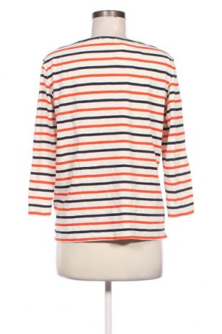 Damen Shirt Jake*s, Größe XL, Farbe Mehrfarbig, Preis € 8,87