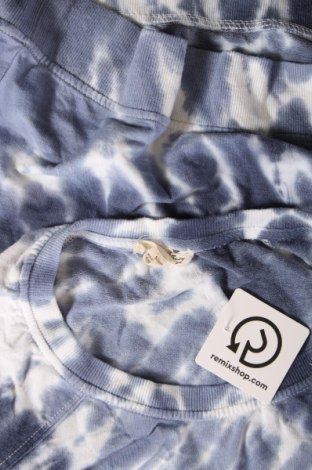 Damen Shirt Jane and Delancey, Größe S, Farbe Mehrfarbig, Preis 3,57 €