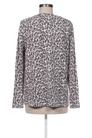 Γυναικεία μπλούζα Janina, Μέγεθος L, Χρώμα Πολύχρωμο, Τιμή 2,59 €