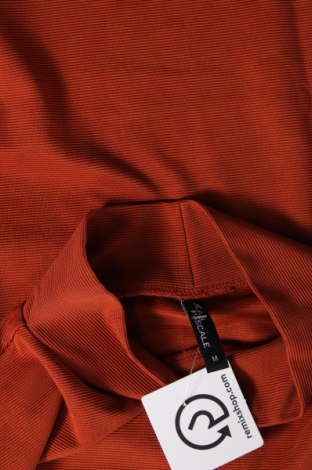 Damen Shirt Jean Pascale, Größe L, Farbe Braun, Preis 3,04 €