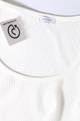 Damen Shirt Lascana, Größe S, Farbe Ecru, Preis 5,59 €
