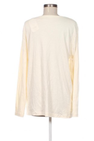 Γυναικεία μπλούζα Laura T., Μέγεθος 3XL, Χρώμα Εκρού, Τιμή 19,18 €