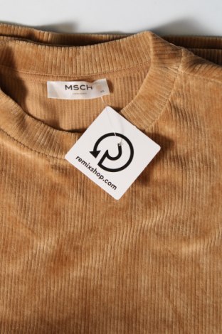 Γυναικεία μπλούζα MSCH, Μέγεθος XS, Χρώμα  Μπέζ, Τιμή 4,21 €