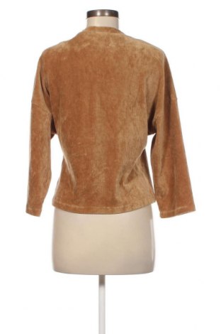 Γυναικεία μπλούζα MSCH, Μέγεθος XS, Χρώμα  Μπέζ, Τιμή 4,21 €
