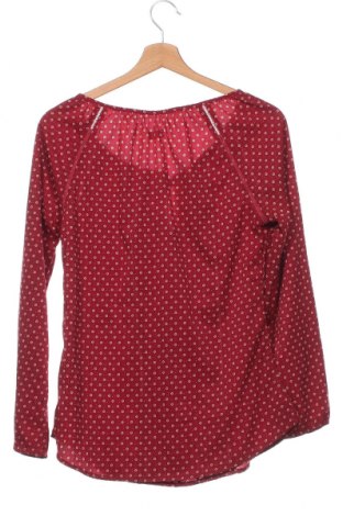 Damen Shirt Napapijri, Größe XS, Farbe Rot, Preis 2,99 €