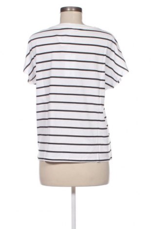 Damen Shirt Oviesse, Größe L, Farbe Mehrfarbig, Preis 15,98 €